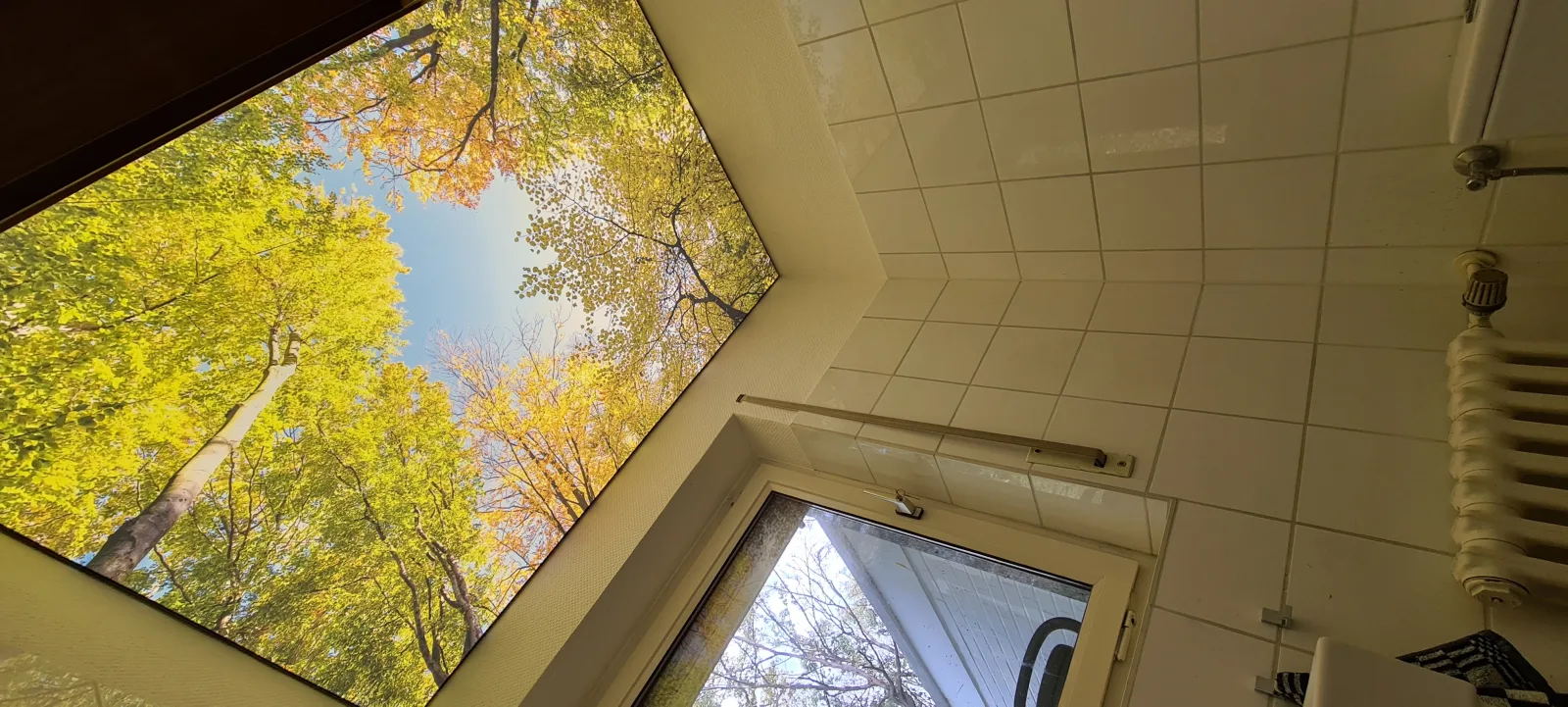 Spanndecke im Kinderzimmer – Lichtdecke mit Waldmotiv im Badezimmer