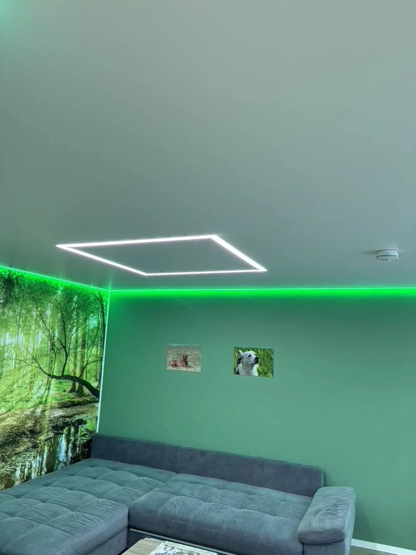 Spanndecke mit LED-Lichtlinie: moderne Lichtführung für klare Räume